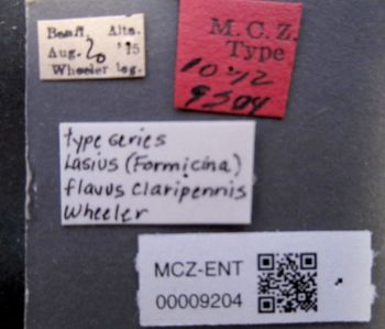 Media type: image;   Entomology 9204 Aspect: labels